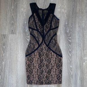 Lace Cocktail Dress